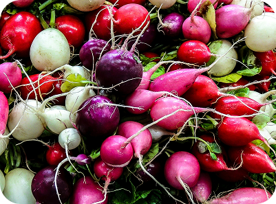 radishes