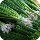 scallions